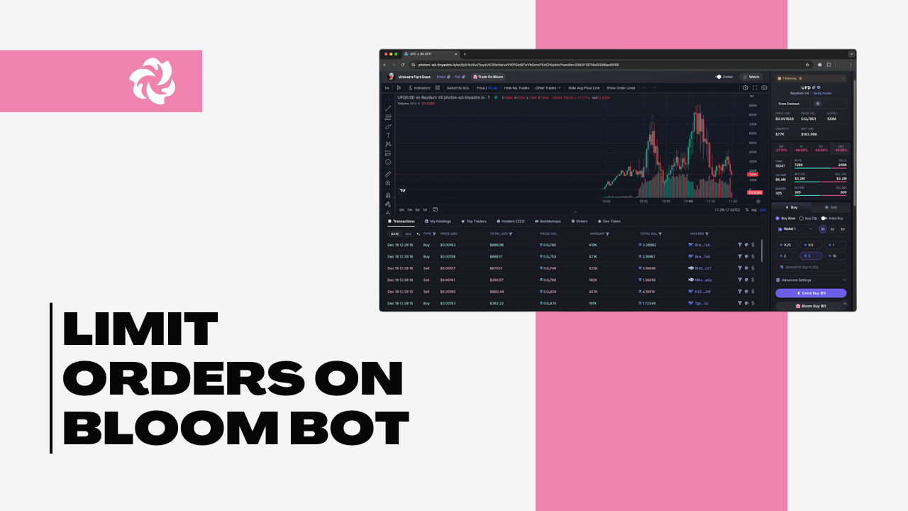 Building an Automated Solana Trading Portfolio